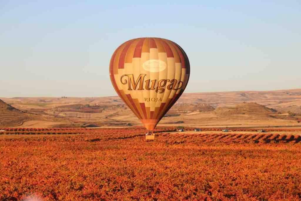 Individual Con Bodega, En El Corazon De La Rioja Villa